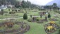 Lidder View Rose Garden Pahalgam